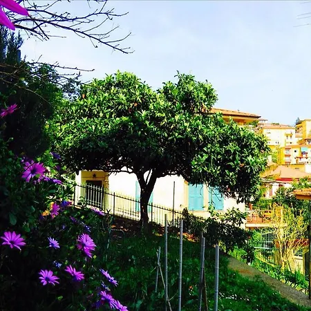 Гостевой дом Levante Blu 3*