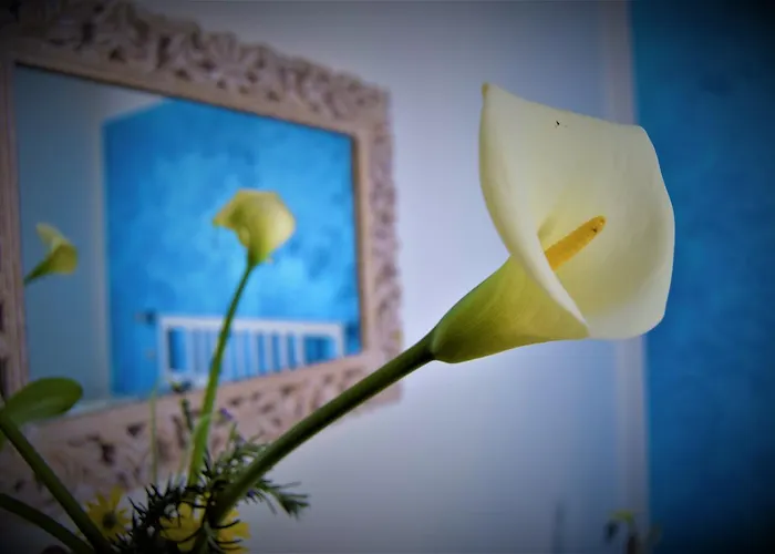 בית הארחה Levante Blu 3*