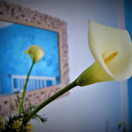 Gæstehus Levante Blu 3*